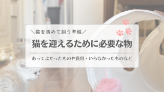 【猫を初めて飼う準備】迎える時に必要なものや費用<初心者の猫用品購入ブログ>